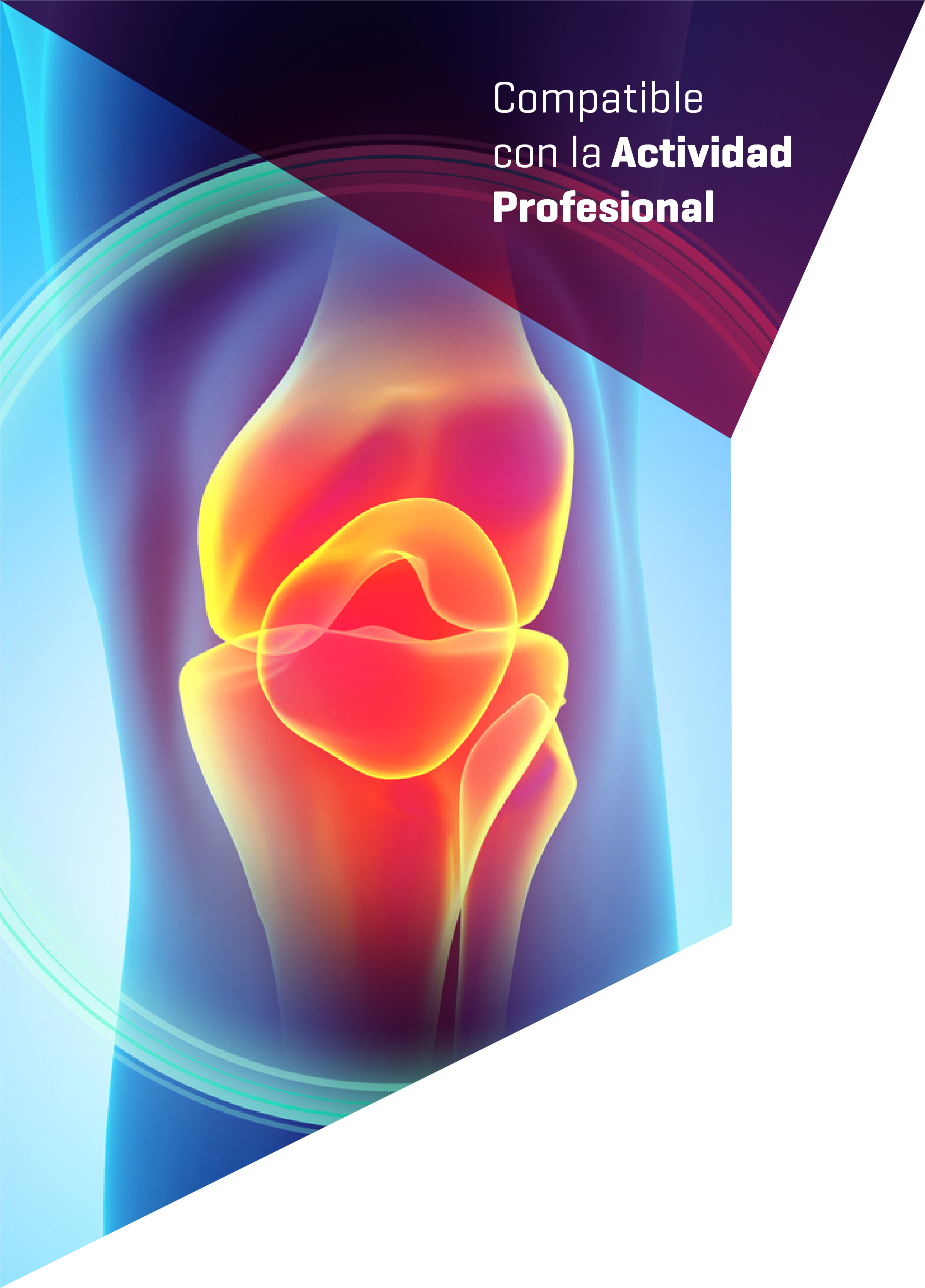 Imagen cabecera curso Anatomía Quirúrgica y Exploración de la Rodilla Curso Anatomía Quirúrgica y Exploración de la Rodilla realizado por nuestros profesores de Alebat Education