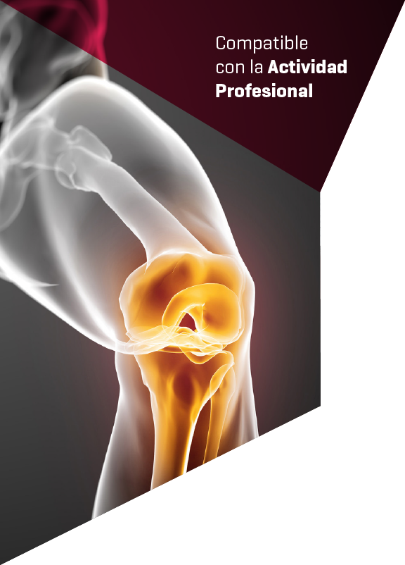 Imagen cabecera curso Lesiones de Ligamento Cruzado Anterior Curso Lesiones de Ligamento Cruzado Anterior realizado por nuestros profesores de Alebat Education