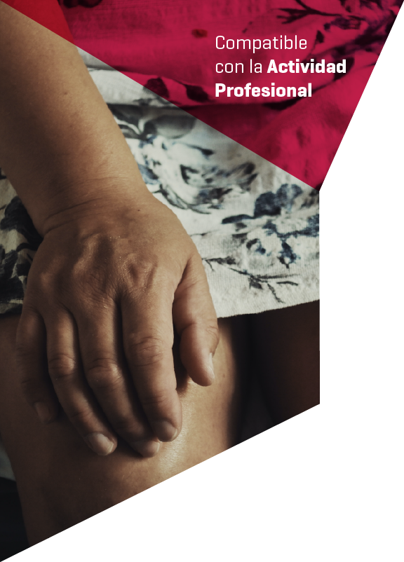 Imagen cabecera curso Lesiones Meniscales Curso Lesiones Meniscales realizado por nuestros profesores de Alebat Education