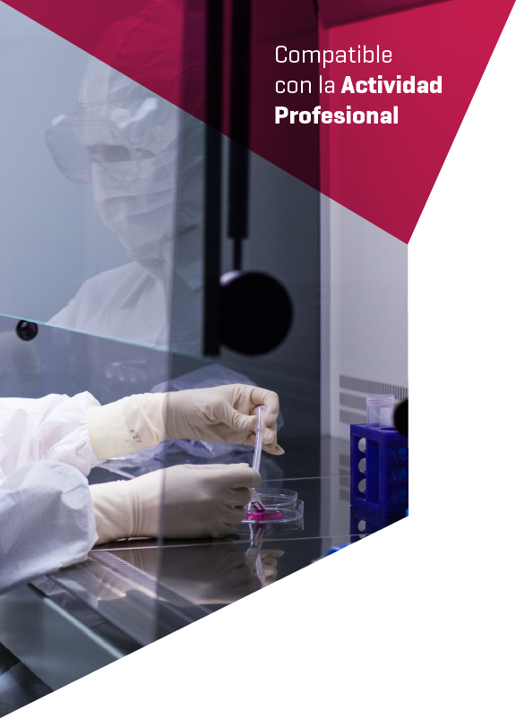 Imagen cabecera curso Medicina Regenerativa de Cartílago Curso Medicina Regenerativa de Cartílago realizado por nuestros profesores de Alebat Education