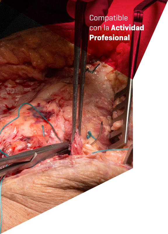 Imagen cabecera curso Traumatología de la Rodilla Curso Traumatología de la Rodilla realizado por nuestros profesores de Alebat Education