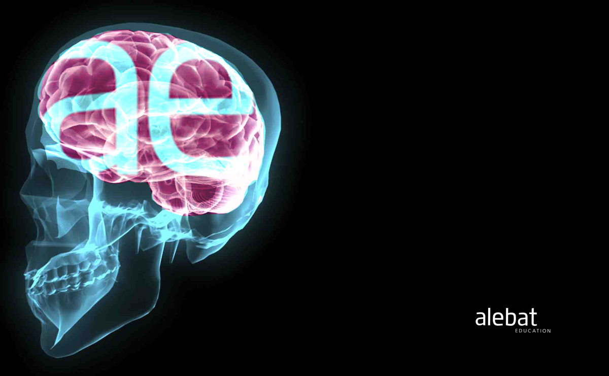 Imagen de la noticia de salud Algunas afirmaciones falsas sobre el cerebro que debes saber Fotografía que ilustra la noticia de salud de Alebat Education sobre Algunas afirmaciones falsas sobre el cerebro que debes saber