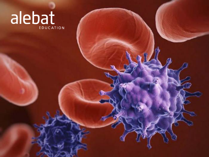 Imagen de la noticia de salud Los mitos sobre el VIH que no debes creer Fotografía que ilustra la noticia de salud de Alebat Education sobre Los mitos sobre el VIH que no debes creer